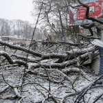 Калининград после прохождения урагана «Ксавьер» (фоторепортаж)