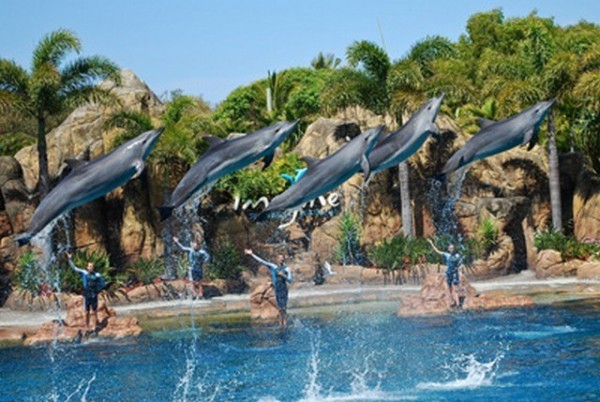 Парк Sea World