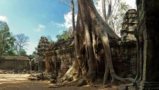 Храм Ta Prohm