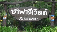 Safari World