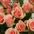 розы из Эквадора