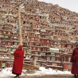 Седа – монастырь в Тибете